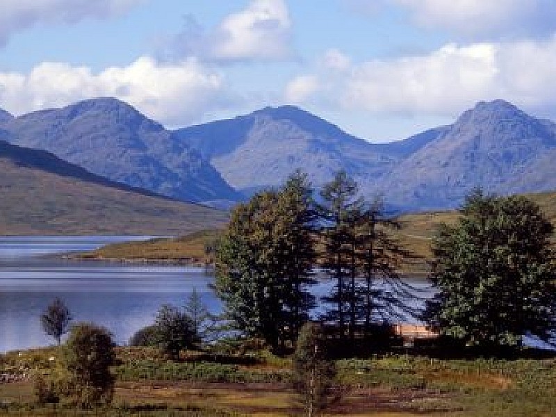 Stirling Castle, the Kelpies & Loch Lomond Day Tour from Edinburgh